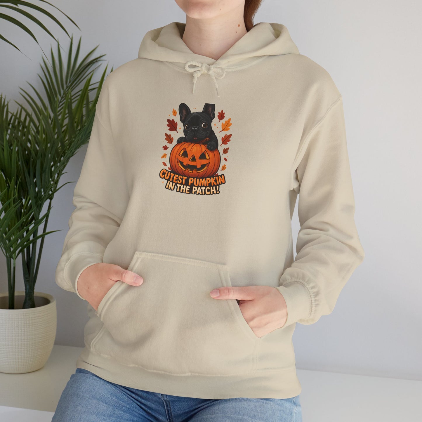 Cutest Pumpkin in the Patch Hoodie | Frenchie Fall Sweatshirt | Halloween Dog Lover Gift | Cozy French Bulldog Pumpkin Patch Hoodie
