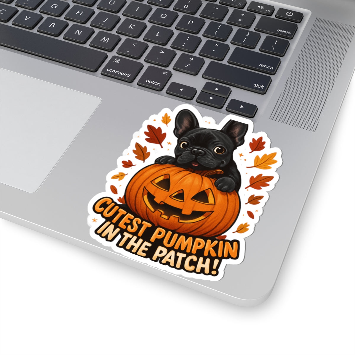 Cutest Pumpkin in the Patch Frenchie Sticker | Fall Dog Lover Sticker | Cute Halloween French Bulldog Decal | Autumn Pet Mom Gift