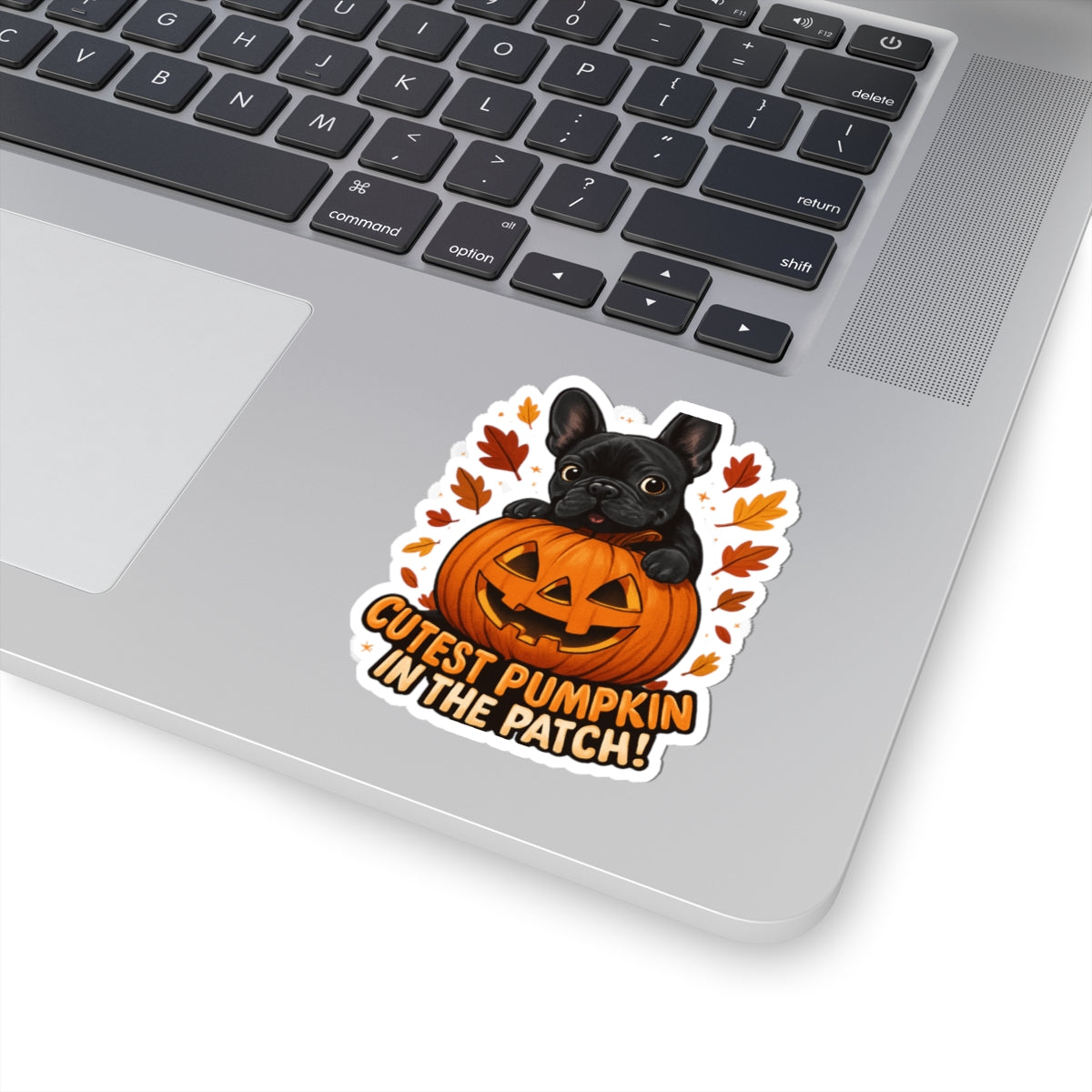 Cutest Pumpkin in the Patch Frenchie Sticker | Fall Dog Lover Sticker | Cute Halloween French Bulldog Decal | Autumn Pet Mom Gift