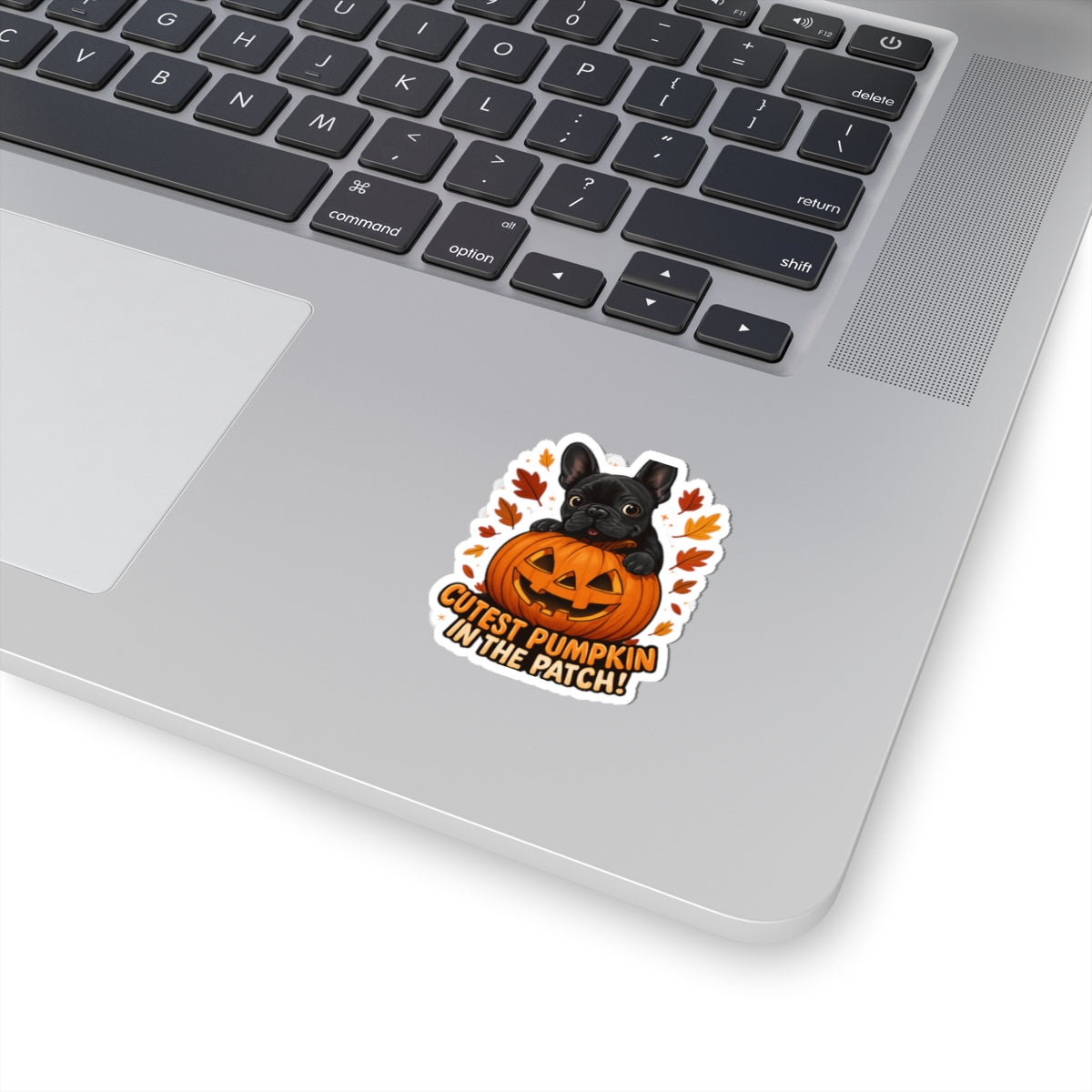 Cutest Pumpkin in the Patch Frenchie Sticker | Fall Dog Lover Sticker | Cute Halloween French Bulldog Decal | Autumn Pet Mom Gift