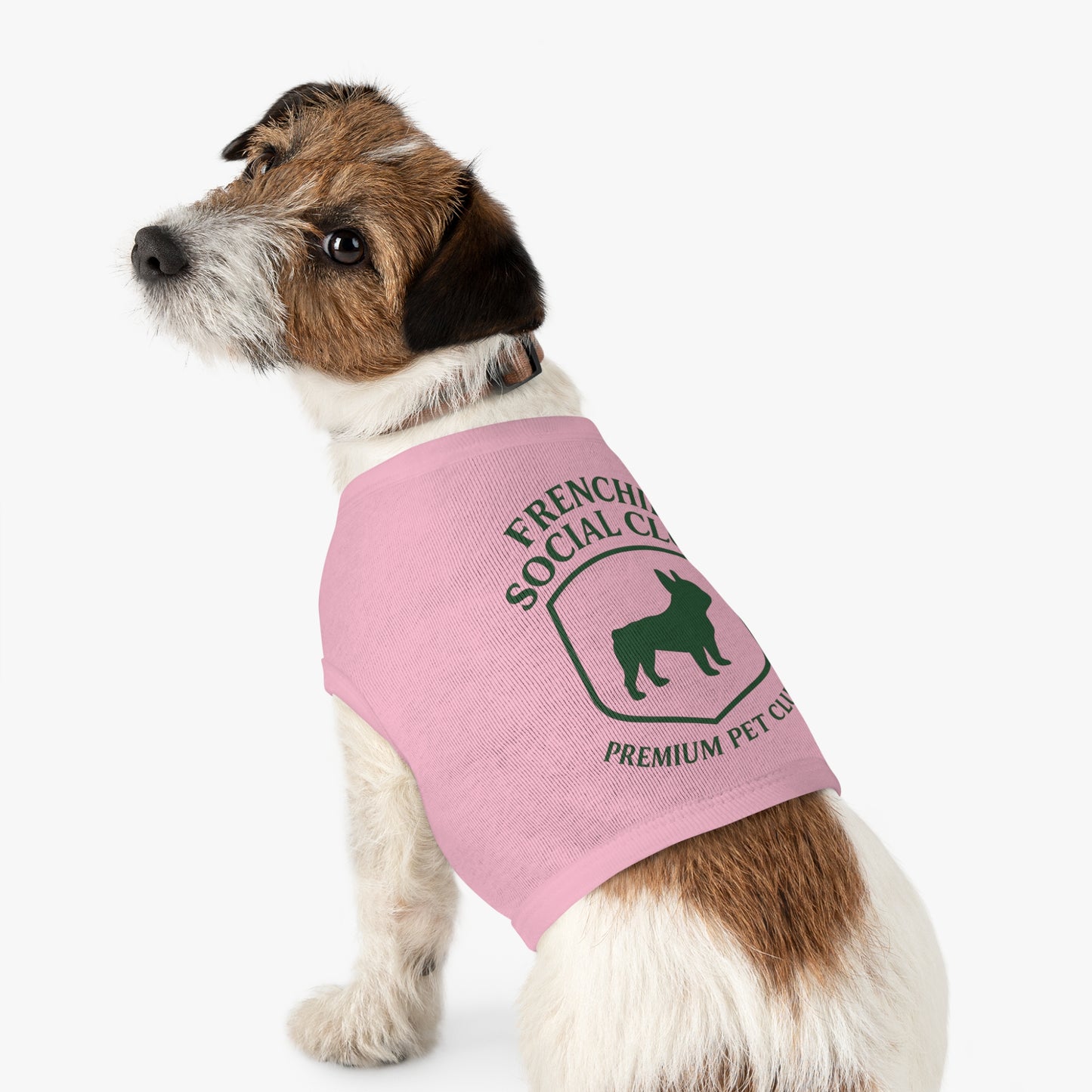 Frenchie Social Club Pet Tank Top, Cute Dog Apparel, French Bulldog Shirt, Pet Fashion, Summer Dog Outfit