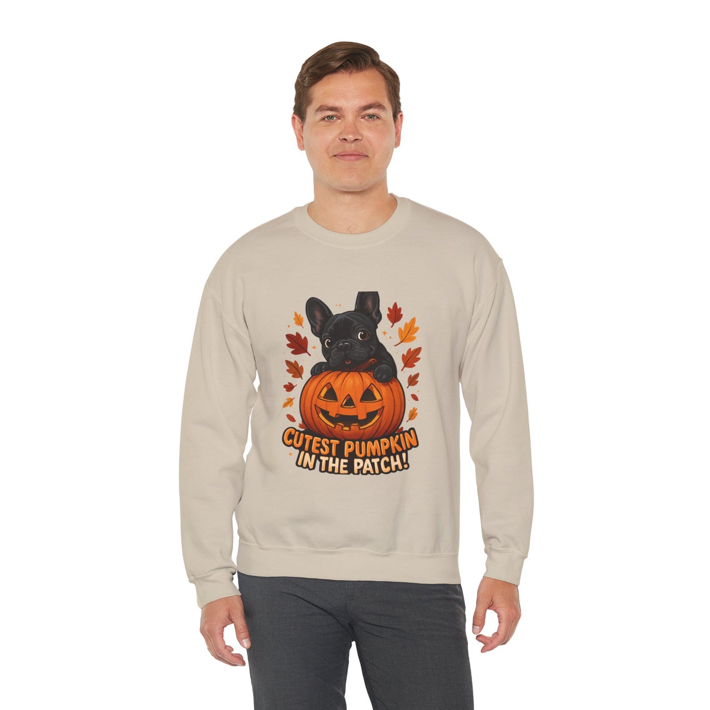 Cutest Pumpkin in the Patch Sweatshirt | Frenchie Fall Crewneck | Halloween Dog Lover Gift | Cozy French Bulldog Pumpkin Patch Pullover